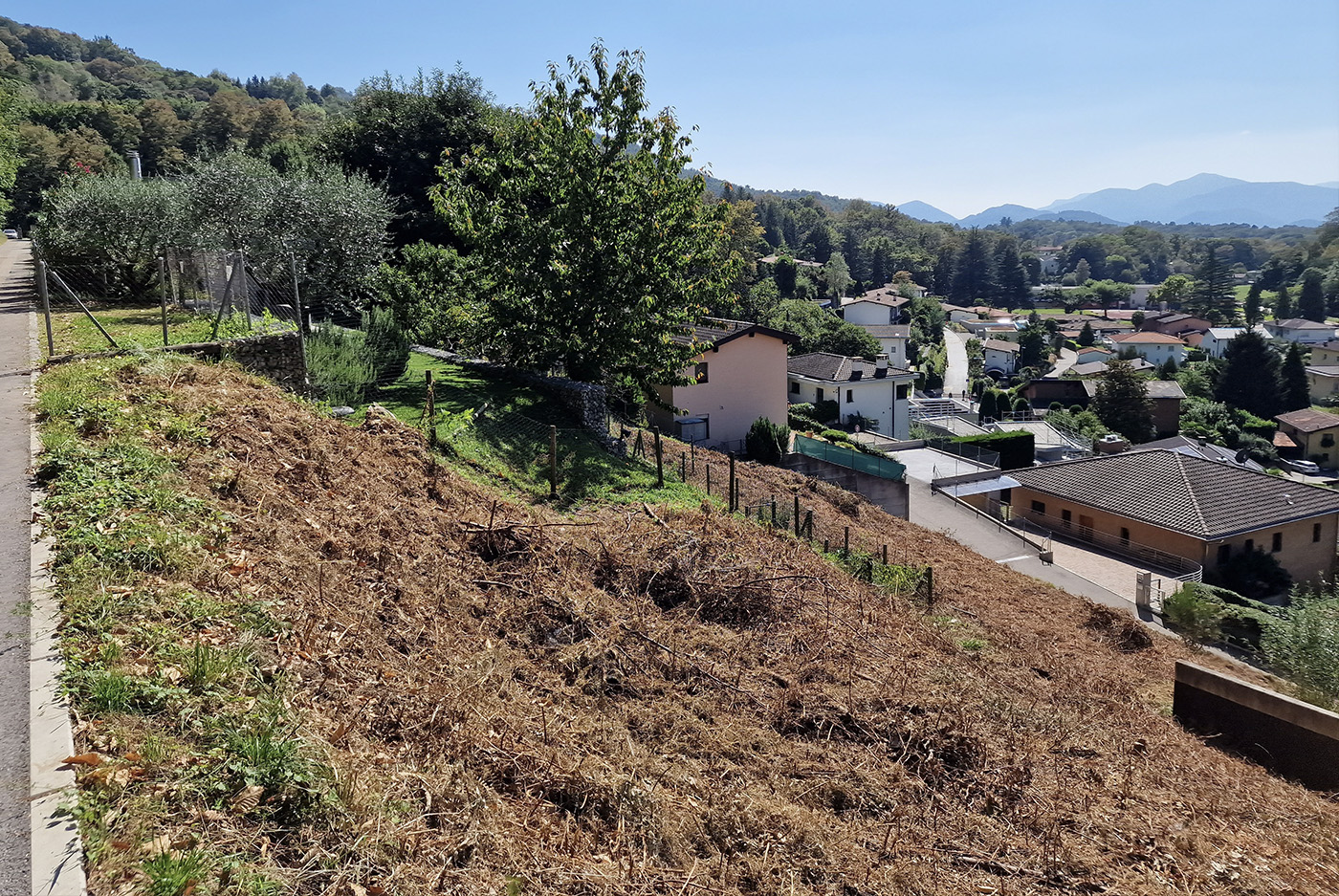 Vivere tra natura e città