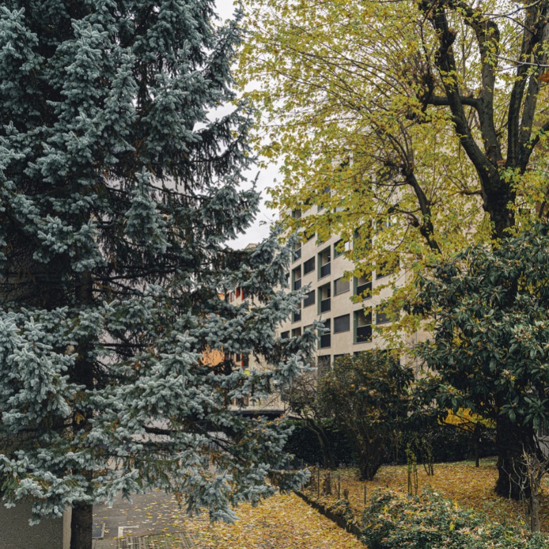 <span>C80a<br>Lugano</span>